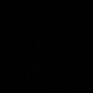 Meet your Posher, Tyrelle